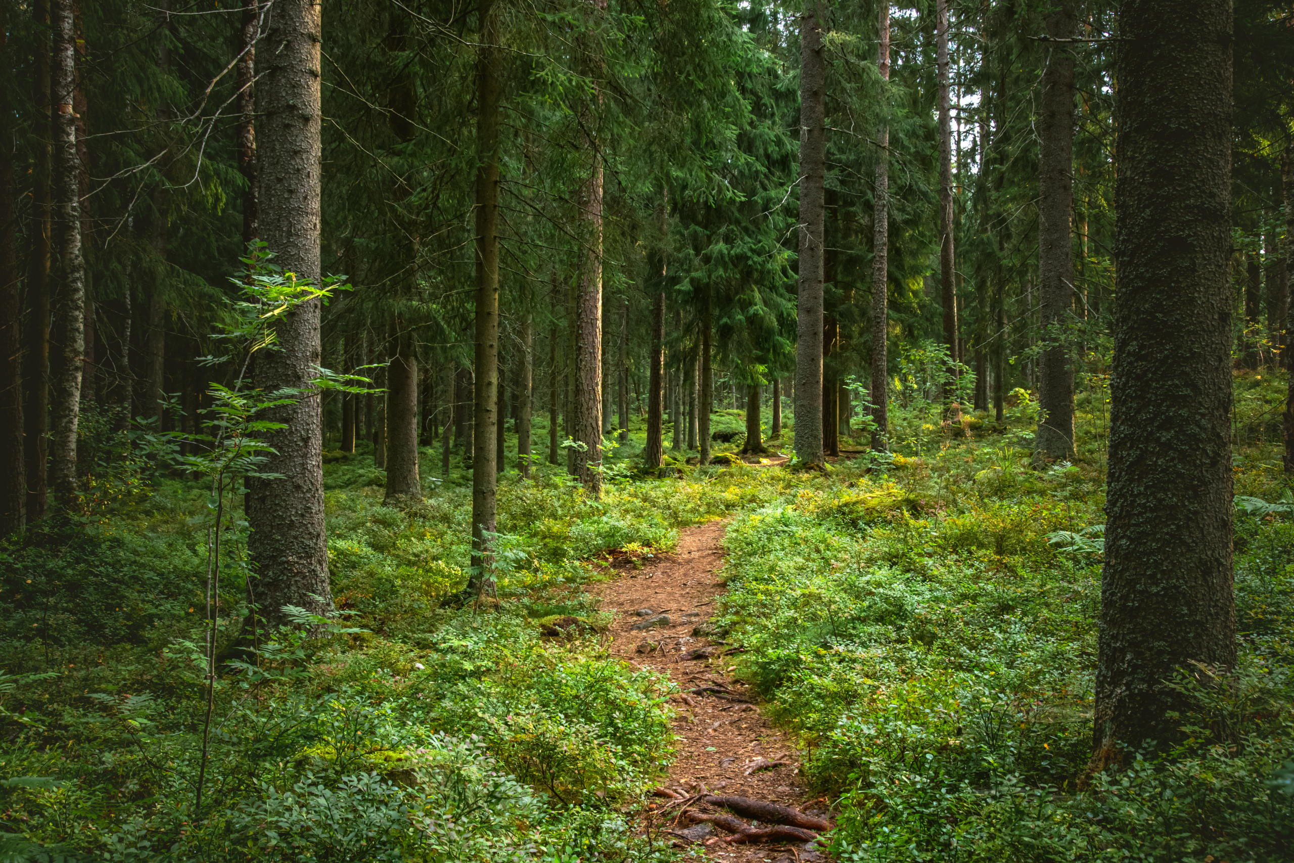 Teekonna algus. Hooldusvajadusega inimesele. Omastehoolduse infoportaal hooldusvajadusega inimestele ja hooldajatele.